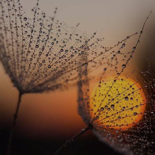  کاش انقدر غُد نبودم چشم گفتن توو دهنم میچرخید